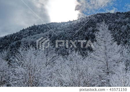 Yatsugatake山脈附近的霜和冬季的划船小屋 43571150