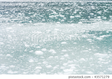 在海中漂流冰, 在海中漂流冰, 43571279