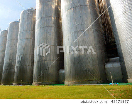 Beer Factory 43571577