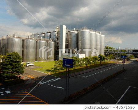 Beer Factory 43571580