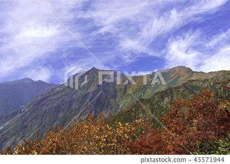 Autumn leaves scenery from Tanigawadake 43571944