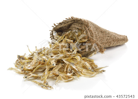 Small dried fish on white background 43572543