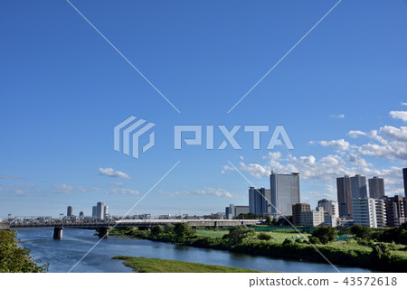 Shinkansen crossing the Tamagawa River Shinkansen crossing the Tamagawa River 43572618