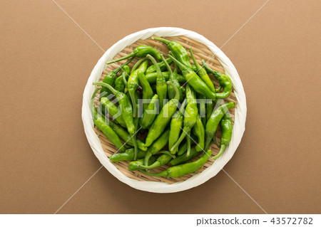 青椒 青椒 43572782