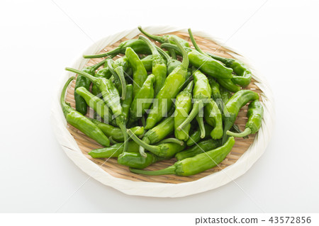 青椒 青椒 43572856