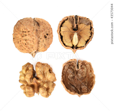 Walnuts with  isolated on white background Walnuts with  isolated on white background 43573044