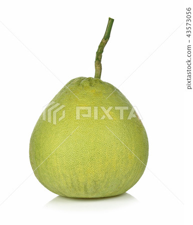 Pomelo isolated on white background Pomelo isolated on white background 43573056