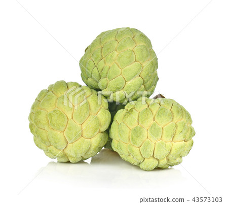 Custard apple isolated on white background,annona 43573103
