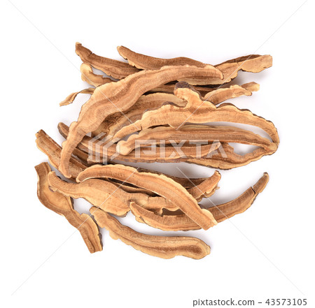 Top view of Ganoderma lucidum on white background. Top view of Ganoderma lucidum on white background. 43573105