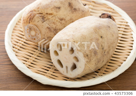 蓮藕 蓮藕 43573306