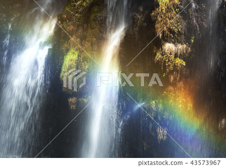 [Yamanashi Shiraito Falls] Rainbow 43573967