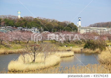 Hitakamigawa Shimizu Green Land(寢屋川市) Hitakamigawa Shimizu Green Land(寢屋川市) 43574143