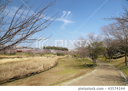Hitakamigawa Shimizu Green Land(寢屋川市) Hitakamigawa Shimizu Green Land(寢屋川市) 43574144