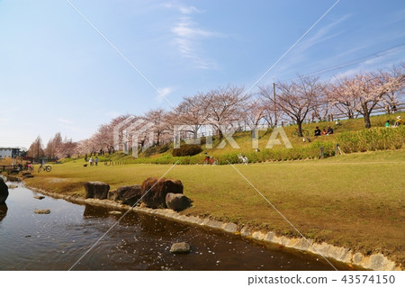 Hitakamigawa Shimizu Green Land (Neyagawa City) Hitakamigawa Shimizu Green Land (Neyagawa City) 43574150