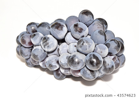 Grape (Berry A) 43574623