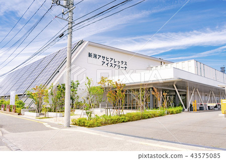 Niigata Asahi Alex Ice Arena 43575085