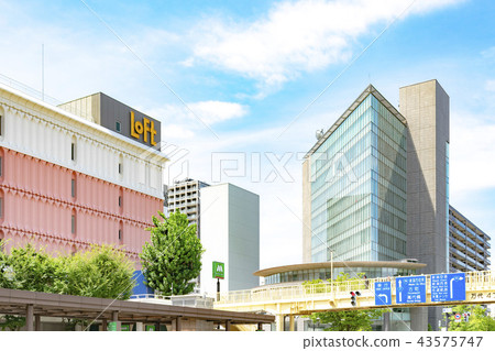 Niigata City Townscape 43575747