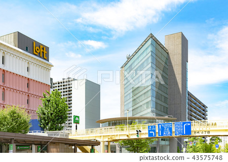 新潟市城市景觀 新潟市城市景觀 43575748