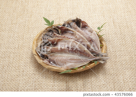 Dried horse mackerel 43576066