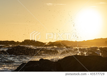 在日落海灘 43577729