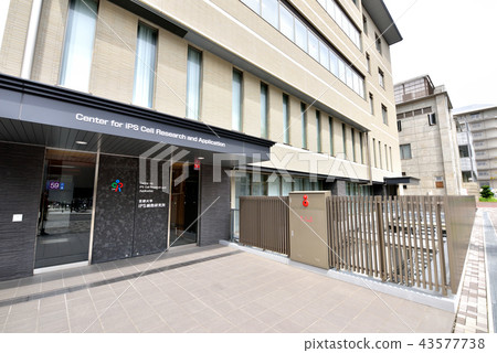 Kyoto University iPS Cell Research Institute 3rd Research Building Kyoto University Yoshida Campus Faculty of Medicine, Hospital, Pharmacy 43577738