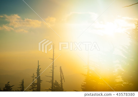 「秋天的志賀高原，清晨的澀嶺 43578380