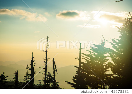 「秋天的志賀高原,清晨的澀嶺 「秋天的志賀高原,清晨的澀嶺 43578381