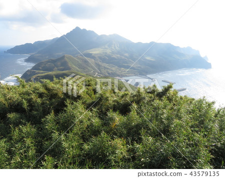 Tokara Archipelago Island 43579135