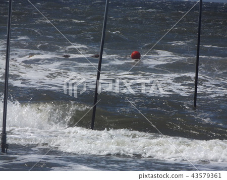 黃色海灘指示浮標 黃色海灘指示浮標 43579361