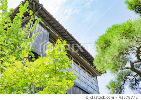 新潟市文化財產前小澤家庭住宅 新潟市文化財產前小澤家庭住宅 43579778