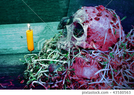 Death skull human with big snail crawl on face. Death skull human with big snail crawl on face. 43580563