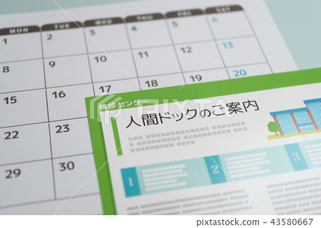 A human dog 43580667