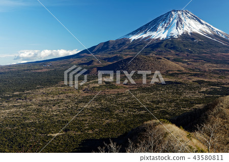 Mt. Fuji in winter as seen from Lake Shoji 43580811