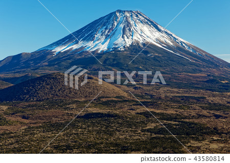 Mt. Fuji in winter as seen from Lake Shoji 43580814
