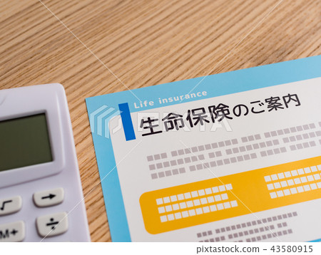 pamphlet 43580915