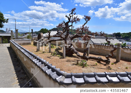 Oomong Oomong鬆的Onomichi Komyoji 43581467