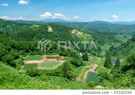 [Niigata Prefecture Nagaoka] Summer is a beautiful green season of rice terraces and terrace ponds of Yamakoshi 43582056