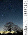 夜空和星星 43582124