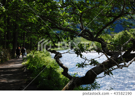 Riverside of Kamikochi Riverside of Kamikochi 43582190
