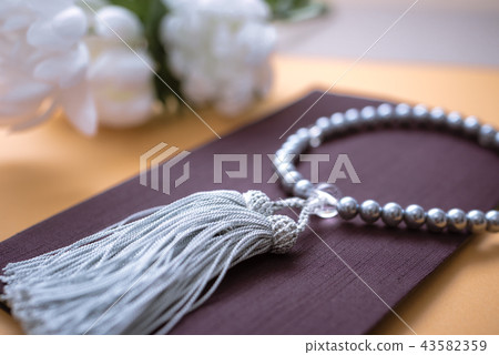 靜物照片 43582359