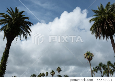 Hometown late summer 46 Hometown late summer 46 43582995