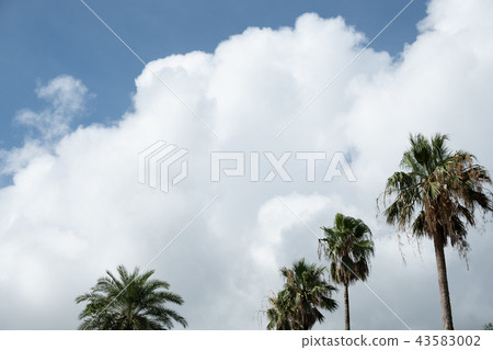 故鄉夏末53 故鄉夏末53 43583002