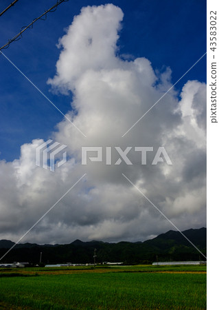 故鄉夏末73 故鄉夏末73 43583022