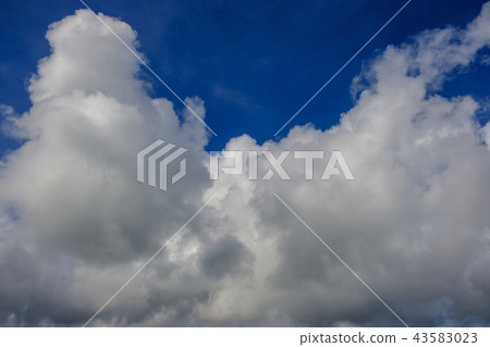 故鄉夏末74 故鄉夏末74 43583023