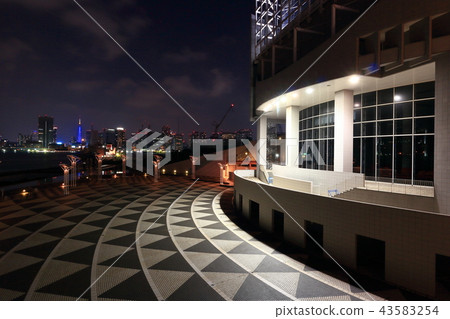晴海碼頭夜景 晴海碼頭夜景 43583254