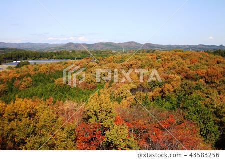 從北山公園觀景台查看 從北山公園觀景台查看 43583256