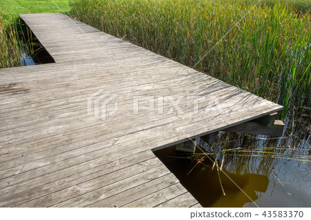 Wooden ecological footpath, footbridge. Wooden ecological footpath, footbridge. 43583370