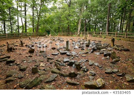 西崎山環 43583405