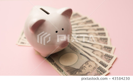 Piggy bank  43584230