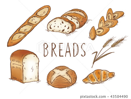 Bread hand drawn watercolor style Bread hand drawn watercolor style 43584490